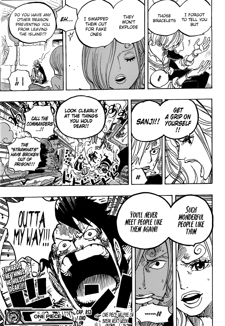 One Piece, Chapter 852 image 19